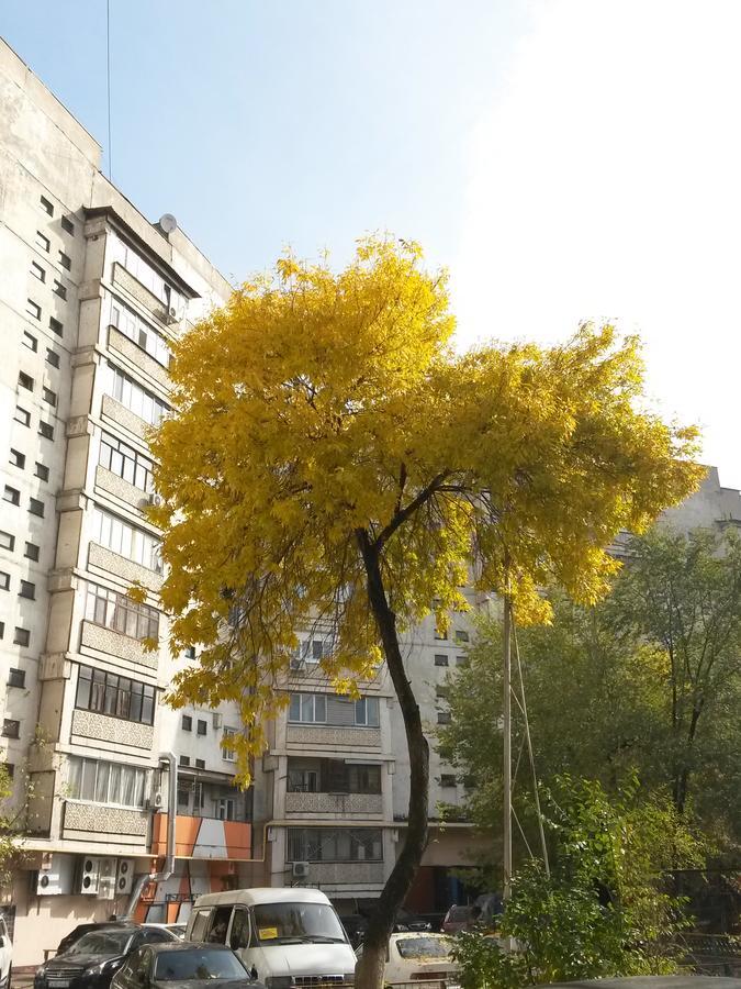 "Арбат" Центр Квартира- Apartment "Arbat" 알마티 외부 사진